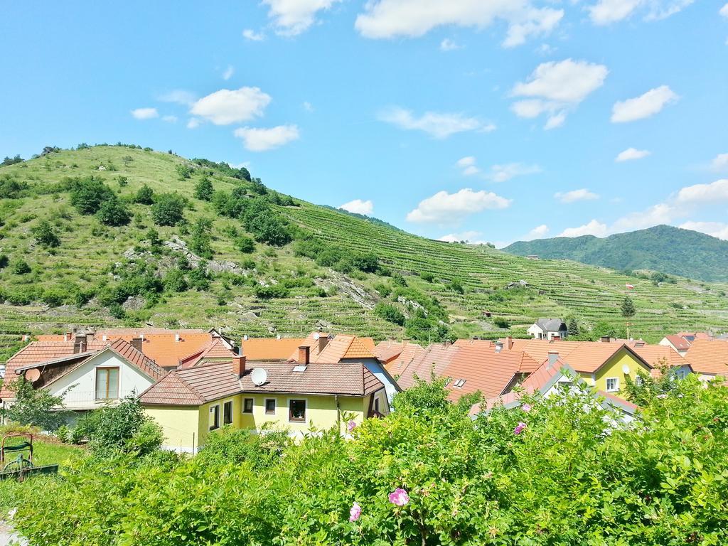 Gastehaus Zur Schonen Aussicht Bed & Breakfast Spitz an der Donau ภายนอก รูปภาพ